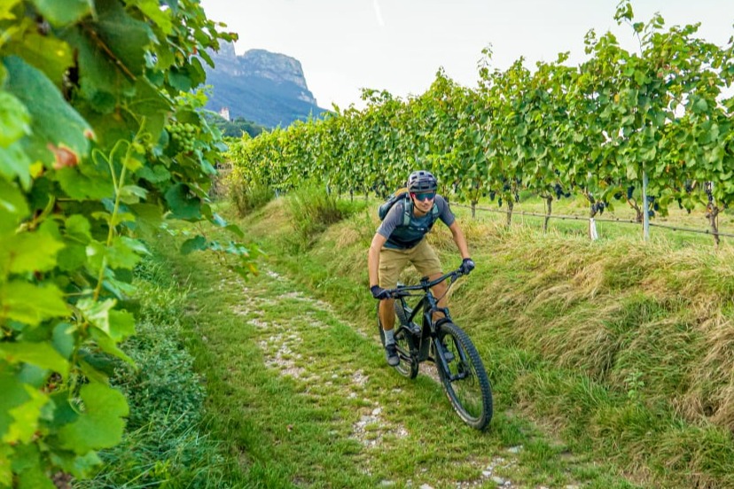 jorin mtb weinstrasse